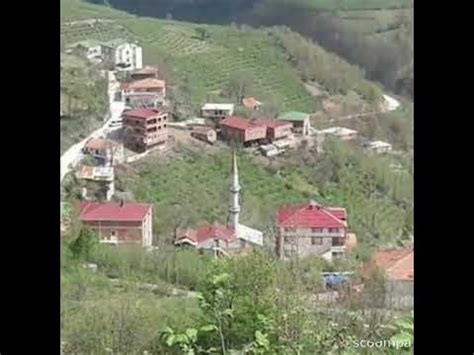 ordu aybastı armutlu köyü